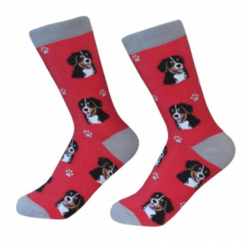 Bernese Mountain Dog Socks