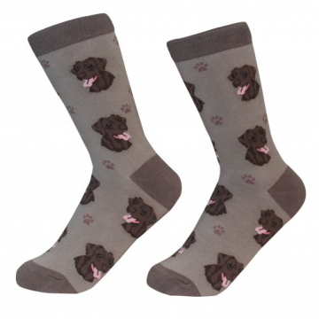 Labrador Dog Socks | Chocolate