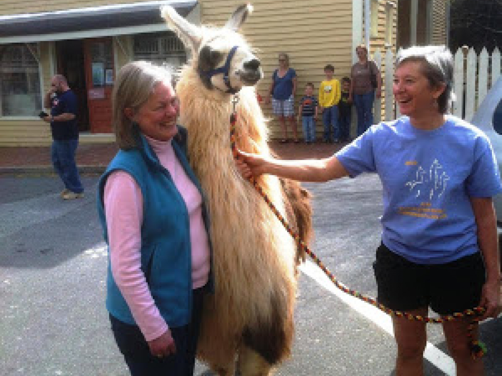 You never know what you'll see on Dahlonega's Square... Cranberry Corners